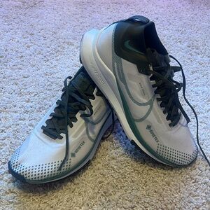 Nike Pegasus Trail 4 GORE-TEX